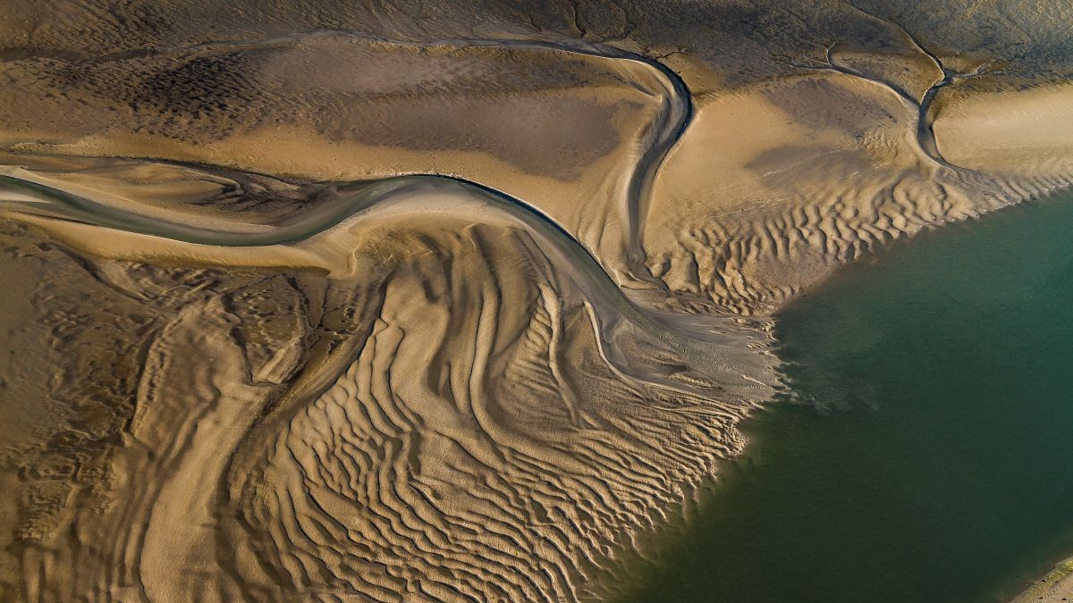 Aerial image of creeks running through exposed tidal flats.
