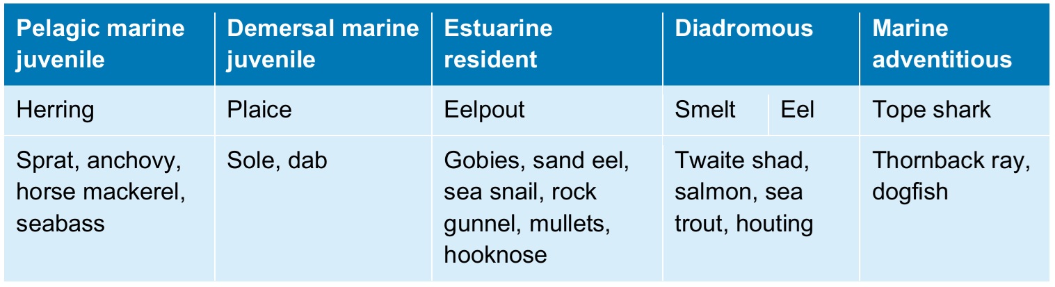 Swimway Fish Table of Flagship and Fleet Species