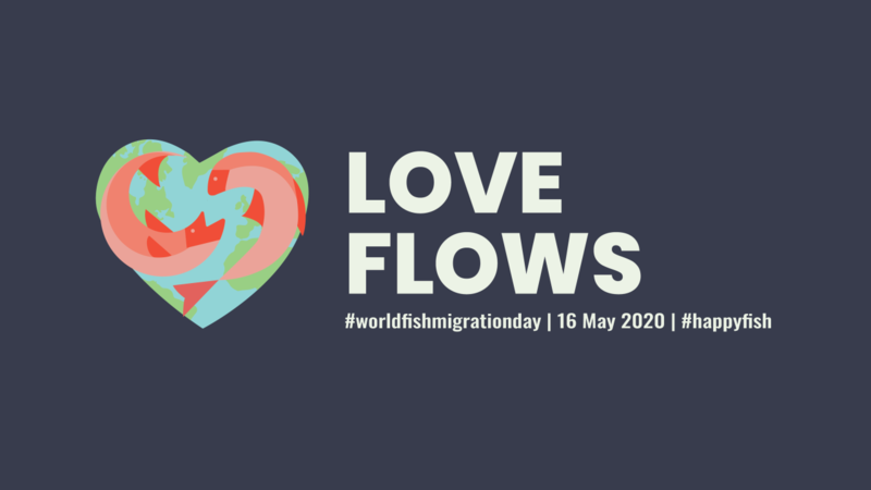 Graphic with heart filled with two fish and caption "Love flows: #WorldFishMigrationDay | 16 May 2020 | #HappyFish"