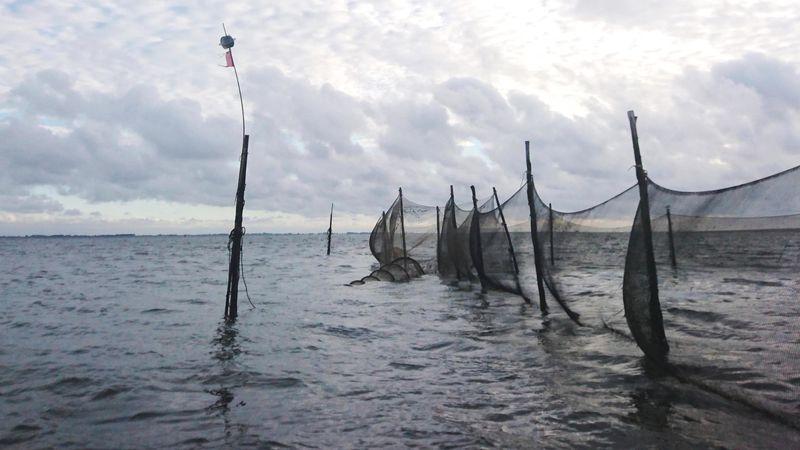 Stationary fish nets on wooden pools in shallow water.