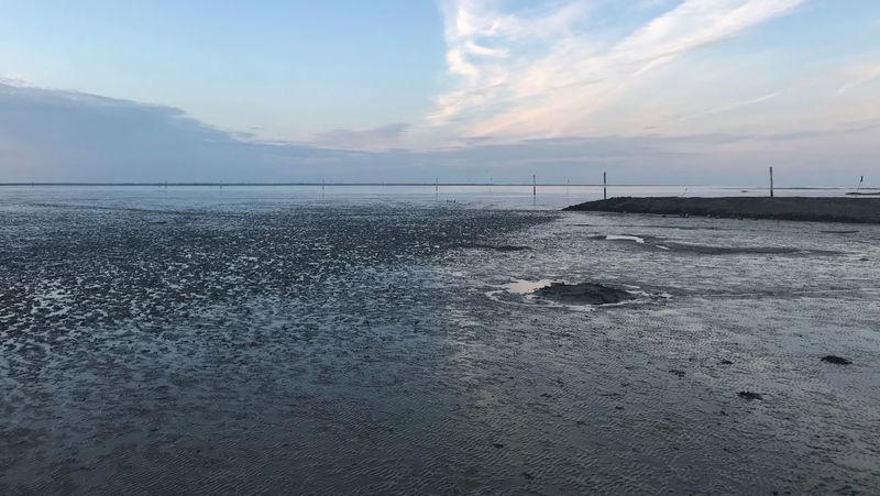 Exposed mudflat with breakwater on right and poles in the distance.