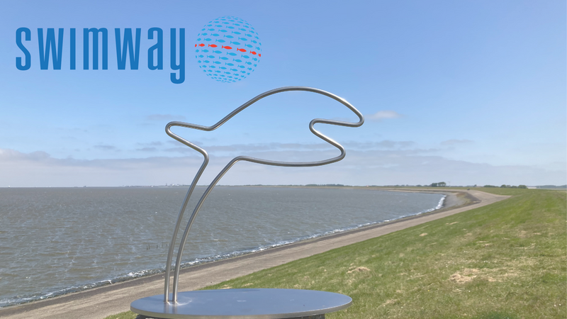 Fish sculpture on dyke and watermark of Swimway logo.