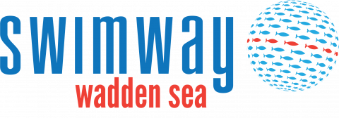 Swimway Wadden Sea