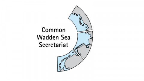 CWSS logo