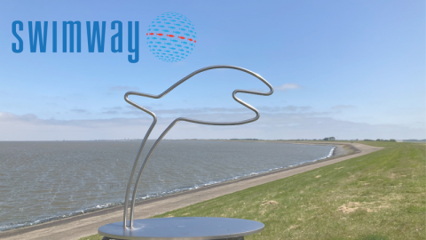 Landscape with the Swimway logo 