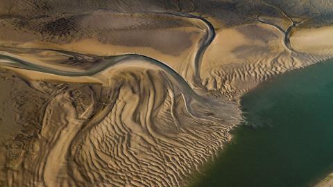 Aerial image of creeks running through exposed tidal flats.