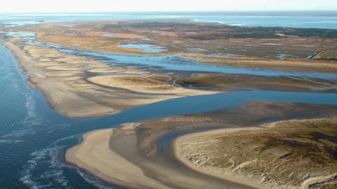 Aerial view of the Danish Wadden Sea.