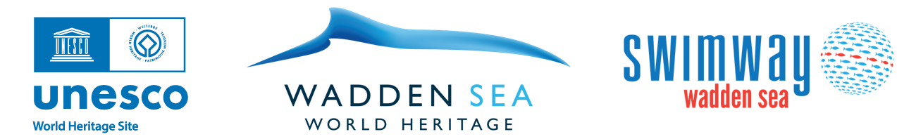 Wadden Sea World Heritage Swimway