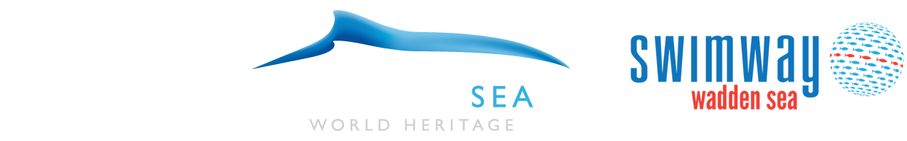 Wadden Sea World Heritage Swimway